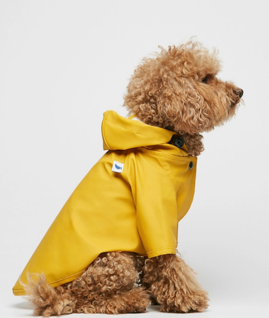 Fisherman's Raincoat for Pups