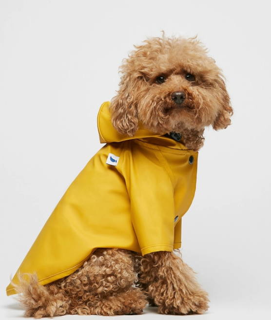 Fisherman's Raincoat for Pups