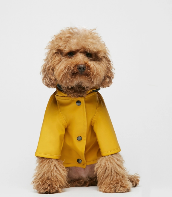 Fisherman's Raincoat for Pups